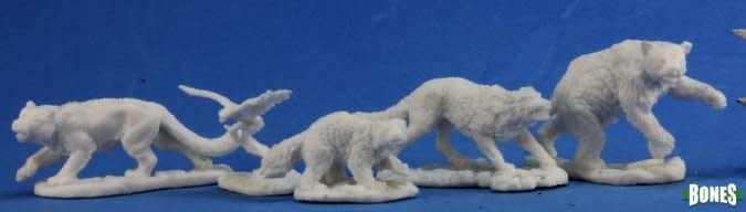 Bones: Companion Animals - Discover Unbreakable Bonds & Joy