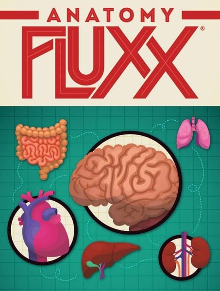 Uncover the Intriguing World of Anatomy Fluxx (DISPLAY 6) - Engaging and Educational