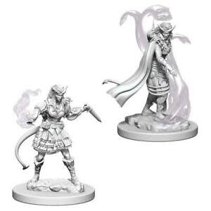 Unleash the Magic: Tiefling Female Sorcerer Miniature W04