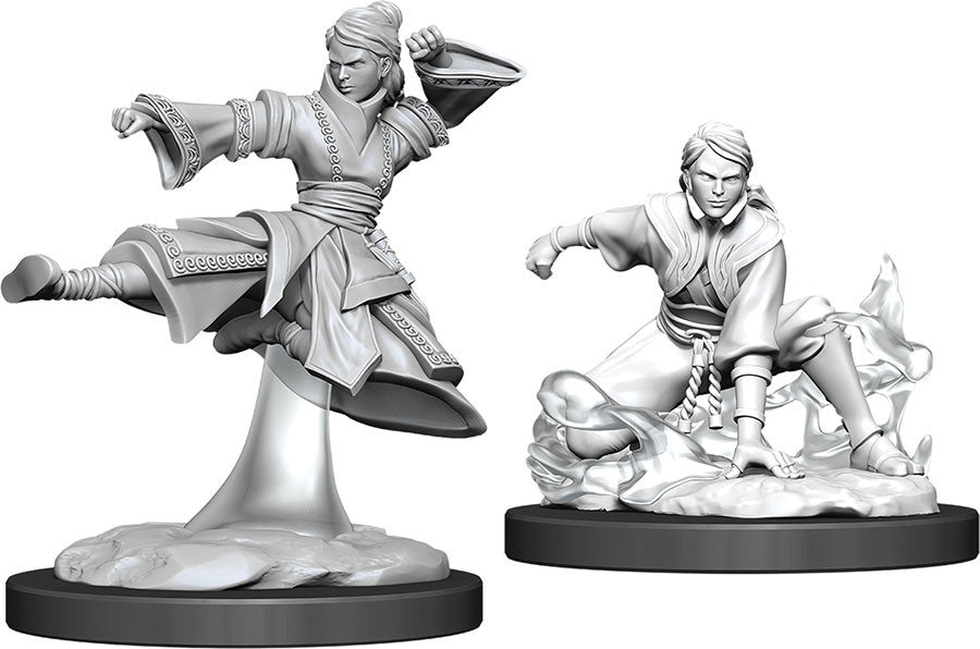 Nolzur's Marvelous Miniatures: W11 Female Human Monk Figure - D&D Collectible
