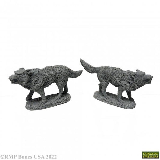 Embrace the Wild: Discover the Majestic Dire Wolves Collection