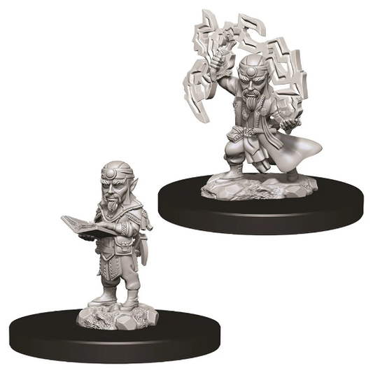 Pathfinder Male Gnome Sorcerer Miniature: W09 Unpainted Details
