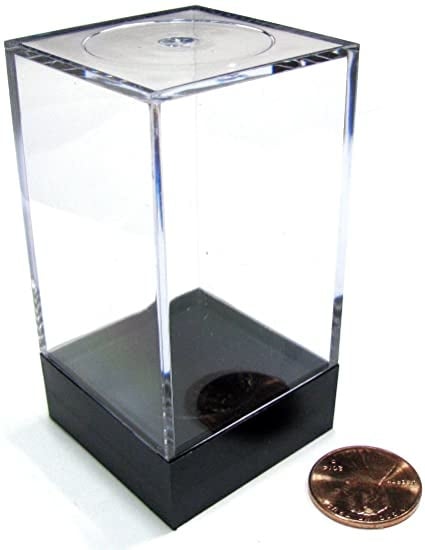 Luxury Crystal Display Box | Elegant Tall Clear & Black Lid Box