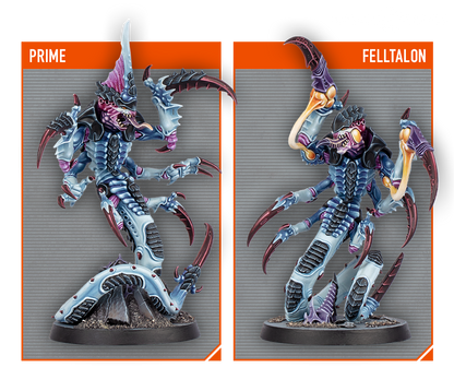 日本語　KILL TEAM: TYPHON (ENGLISH) タイフォン Kill Team: Typhon (Japanese)