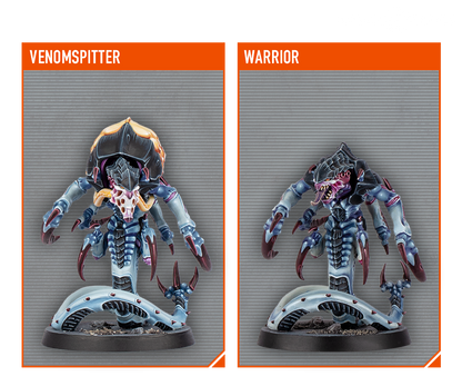 日本語　KILL TEAM: TYPHON (ENGLISH) タイフォン Kill Team: Typhon (Japanese)