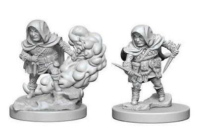 Unleash Adventure with W01 Halfling Male Rogue Miniature for Dungeons & Dragons