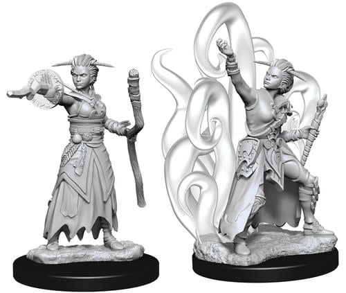 Unleash Magic with Nolzur's W10 Female Human Warlock Miniature