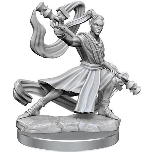 Unleash the Mystical Wonders of Elf Monk Male!