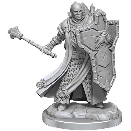 Unleash Divine Power with D&D Heroes: W01 Male Human Cleric